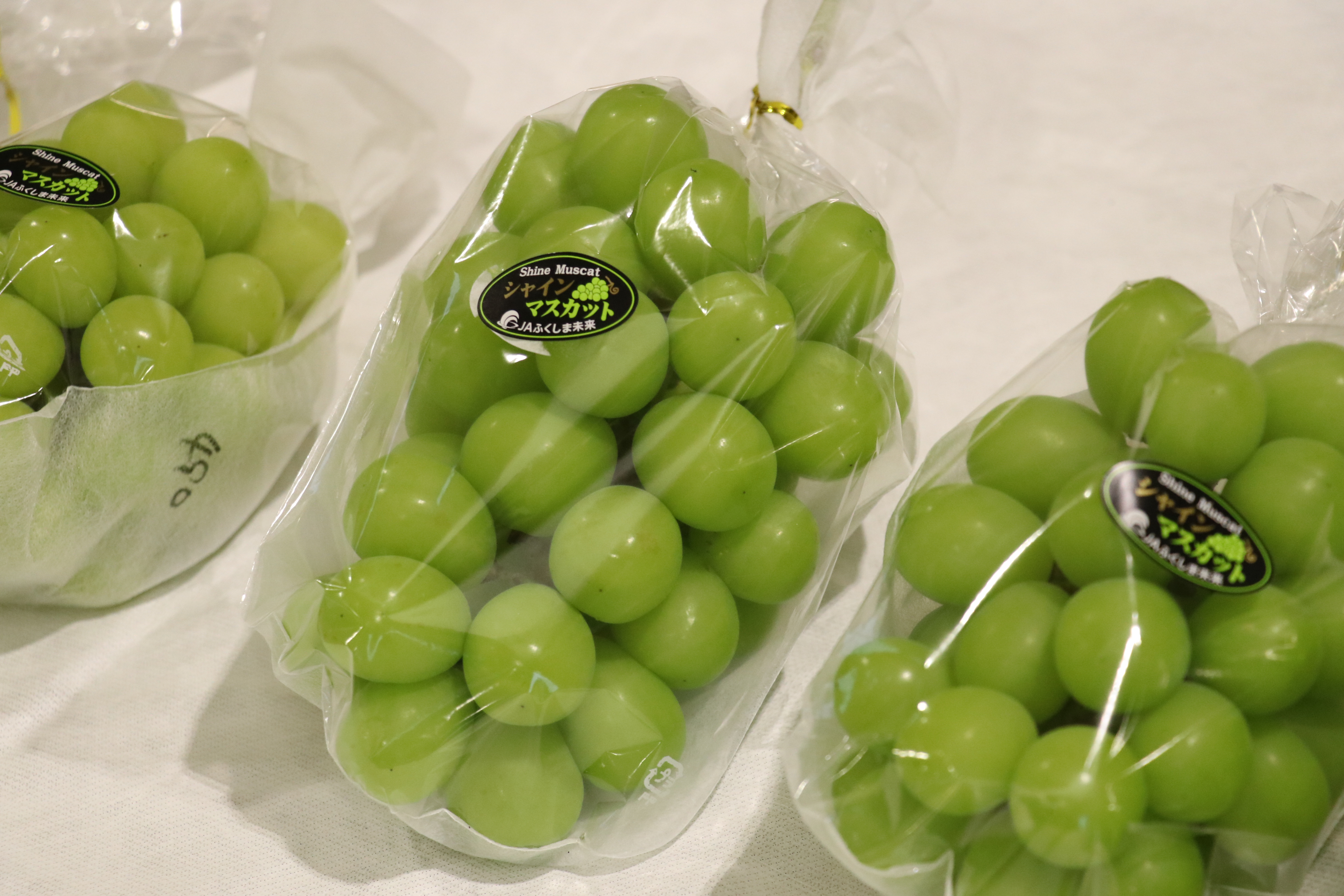 トピックス | JAふくしま未来