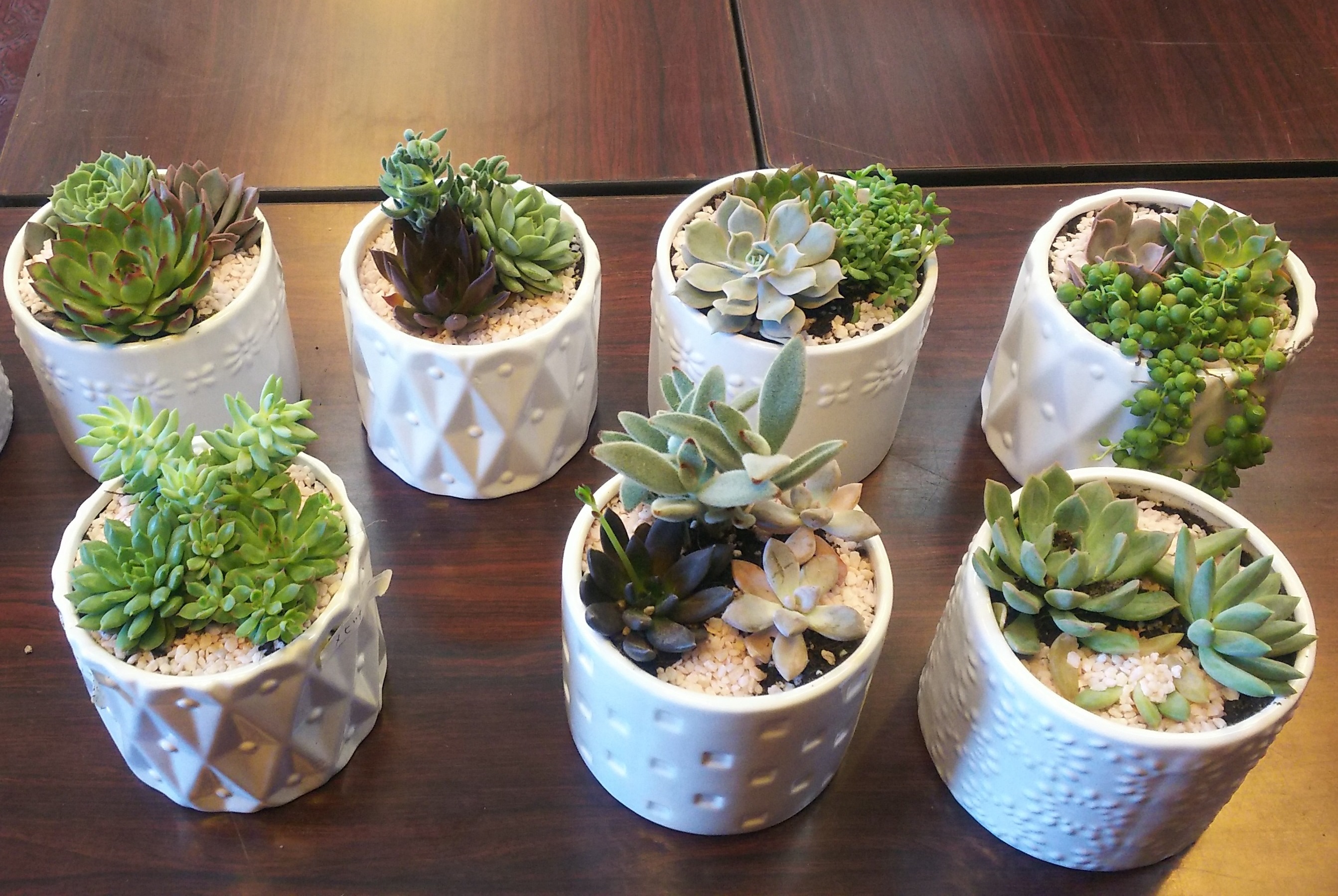 トピックス | JAふくしま未来