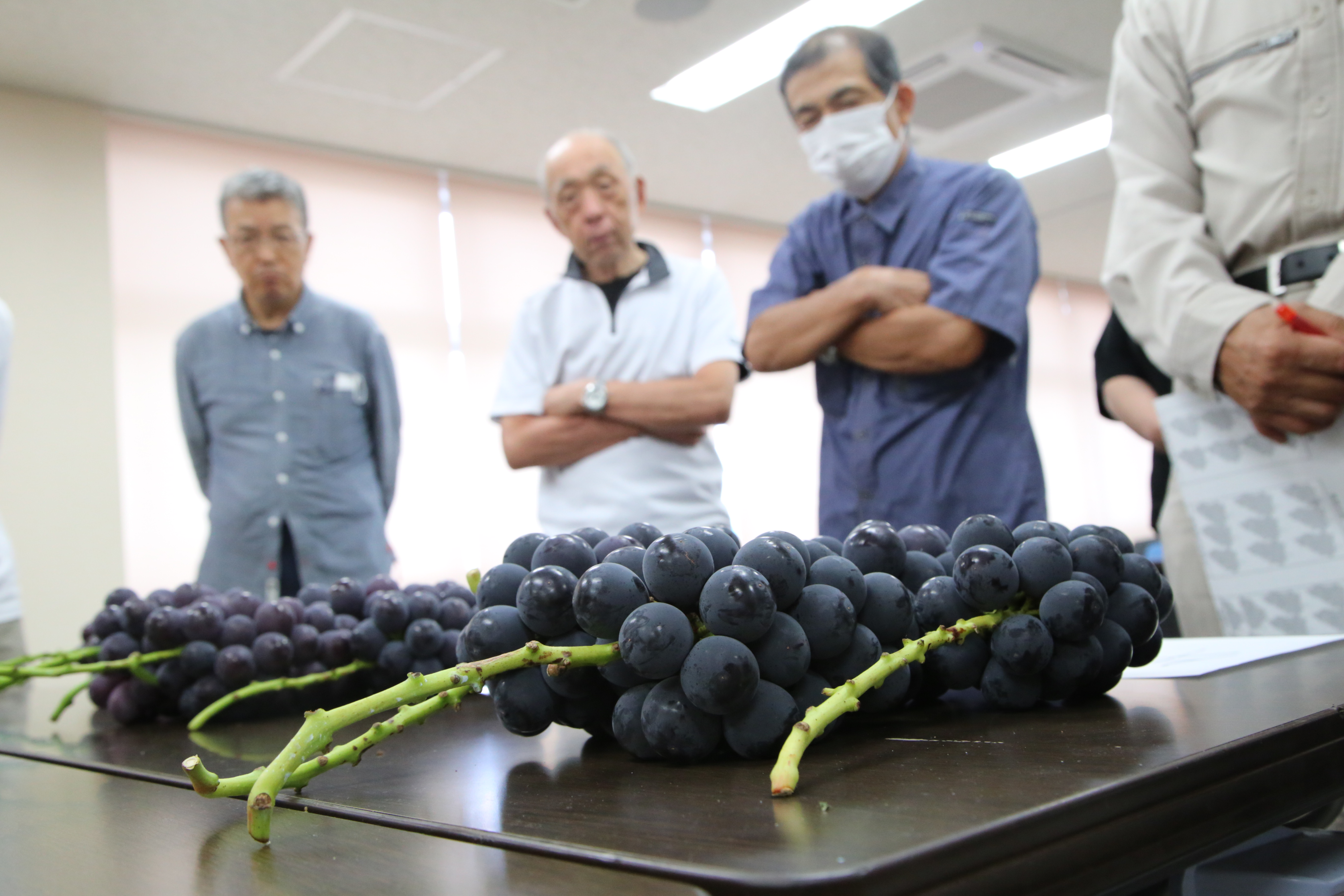 トピックス | JAふくしま未来