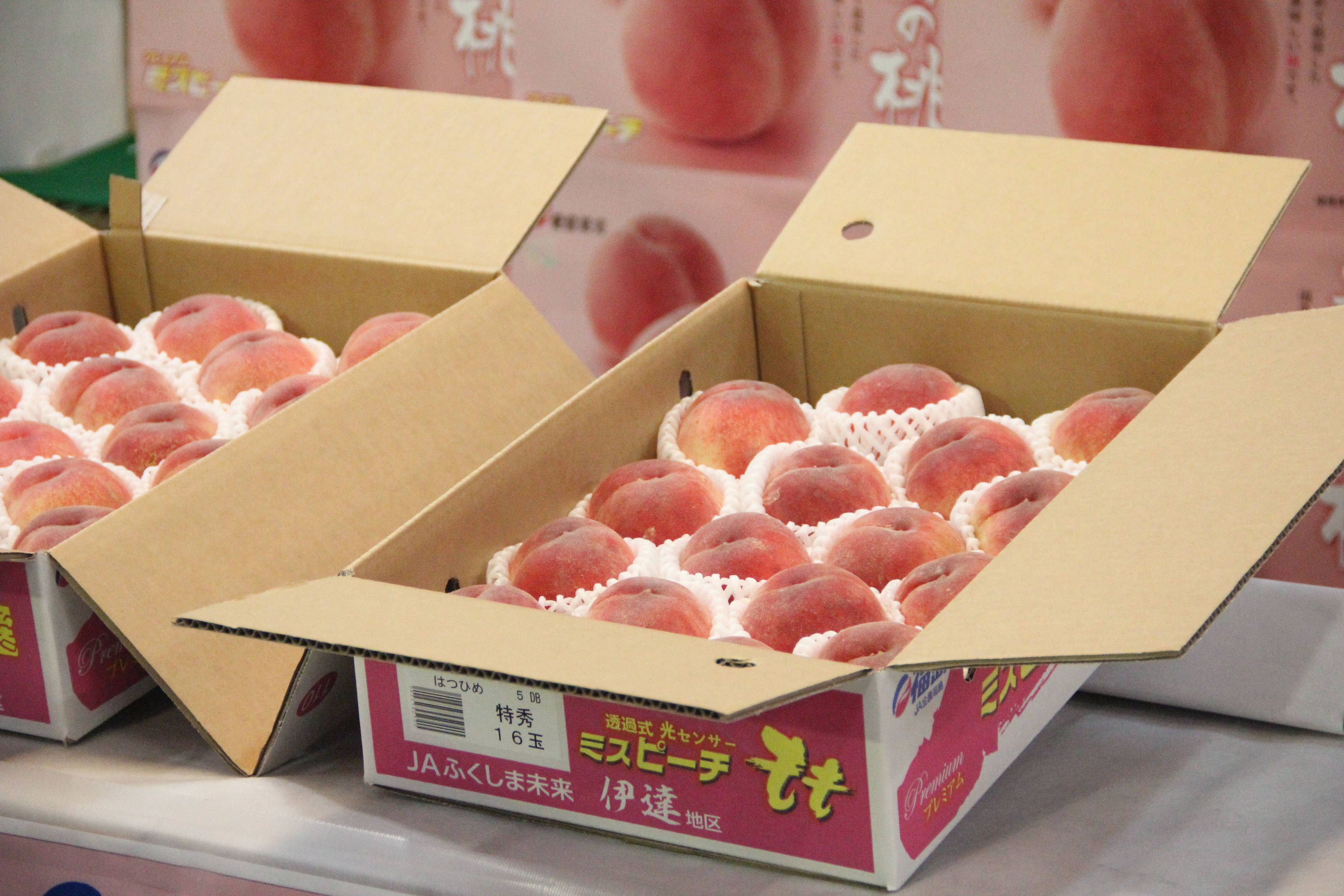 トピックス | JAふくしま未来