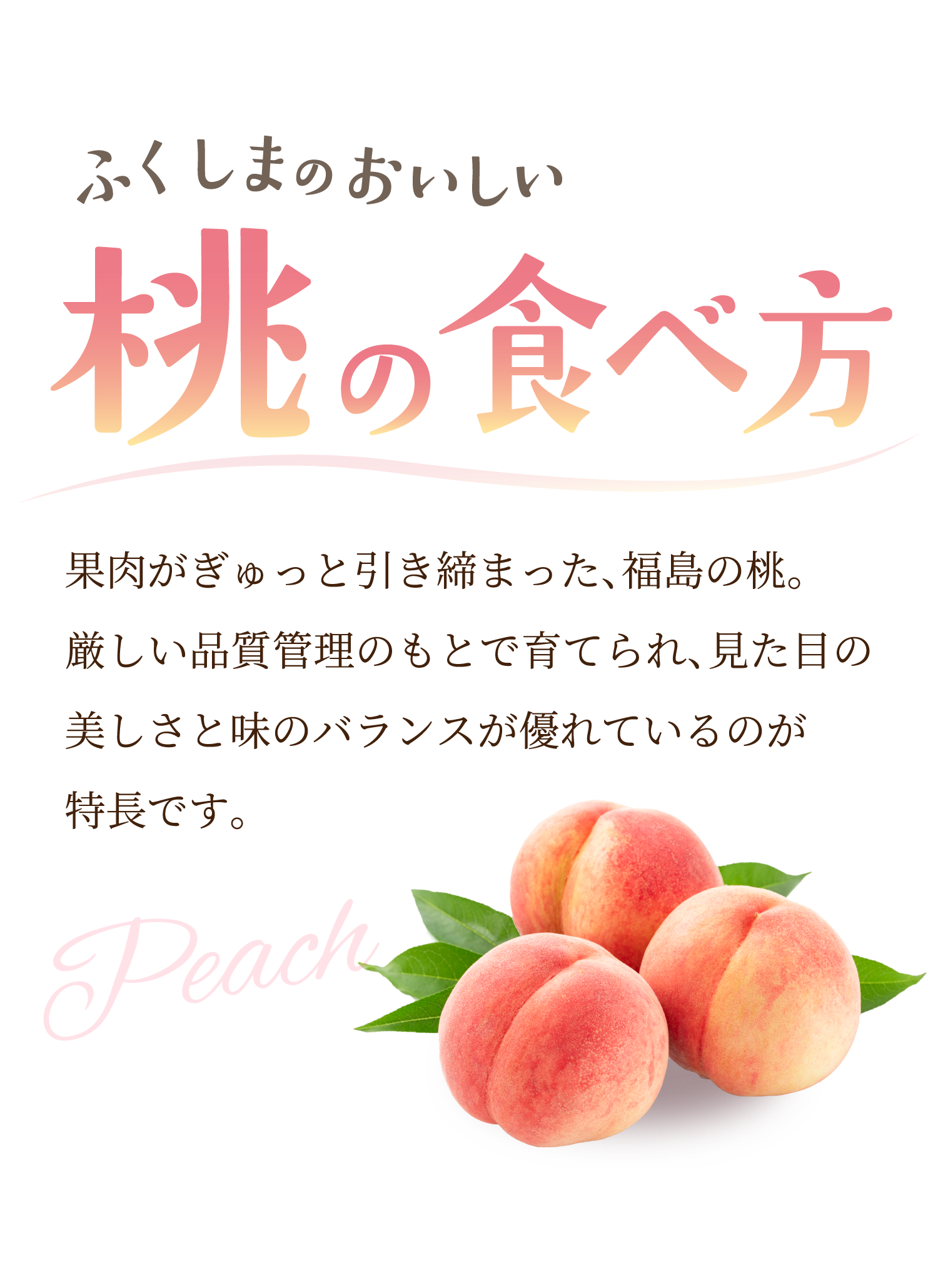 ふくしまのおいしい桃の食べ方